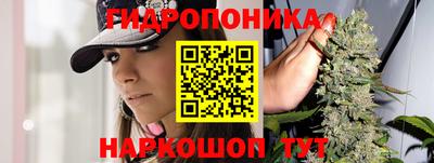 стафф Малгобек