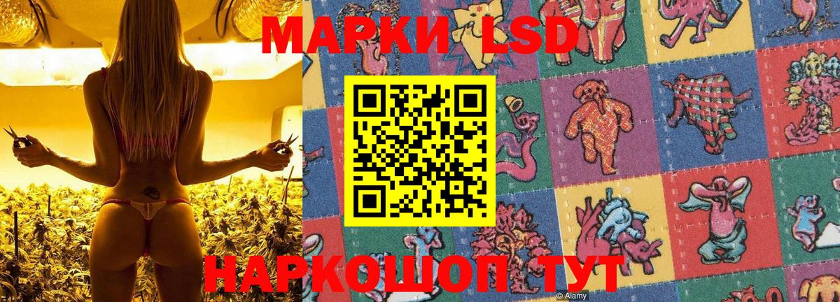 Наркотические марки 1500мкг  Марки 25I-NBOMe  Чайковский  Вход с VPN  Наркотические марки 1500мкг 