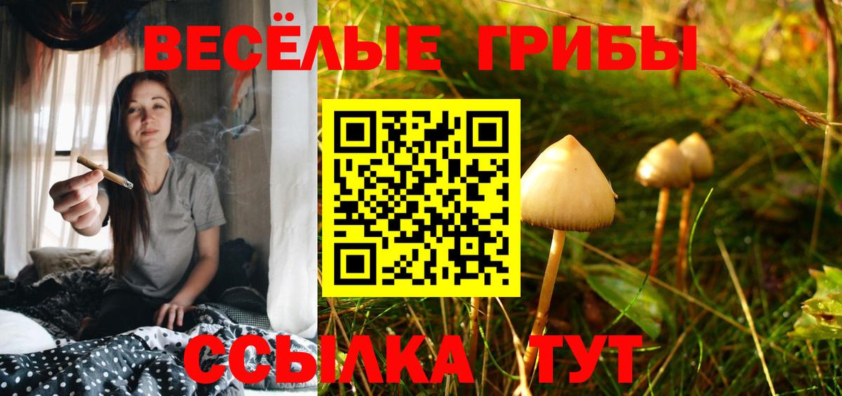 Галлюциногенные грибы прущие грибы  Псилоцибиновые грибы Magic Shrooms  Чайковский  Вход с VPN 