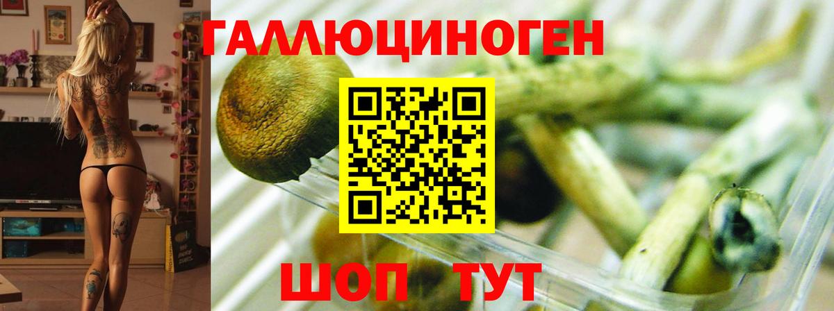 Галлюциногенные грибы прущие грибы Чайковский